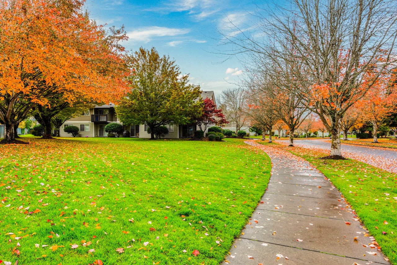 Parkmeadow Image 2