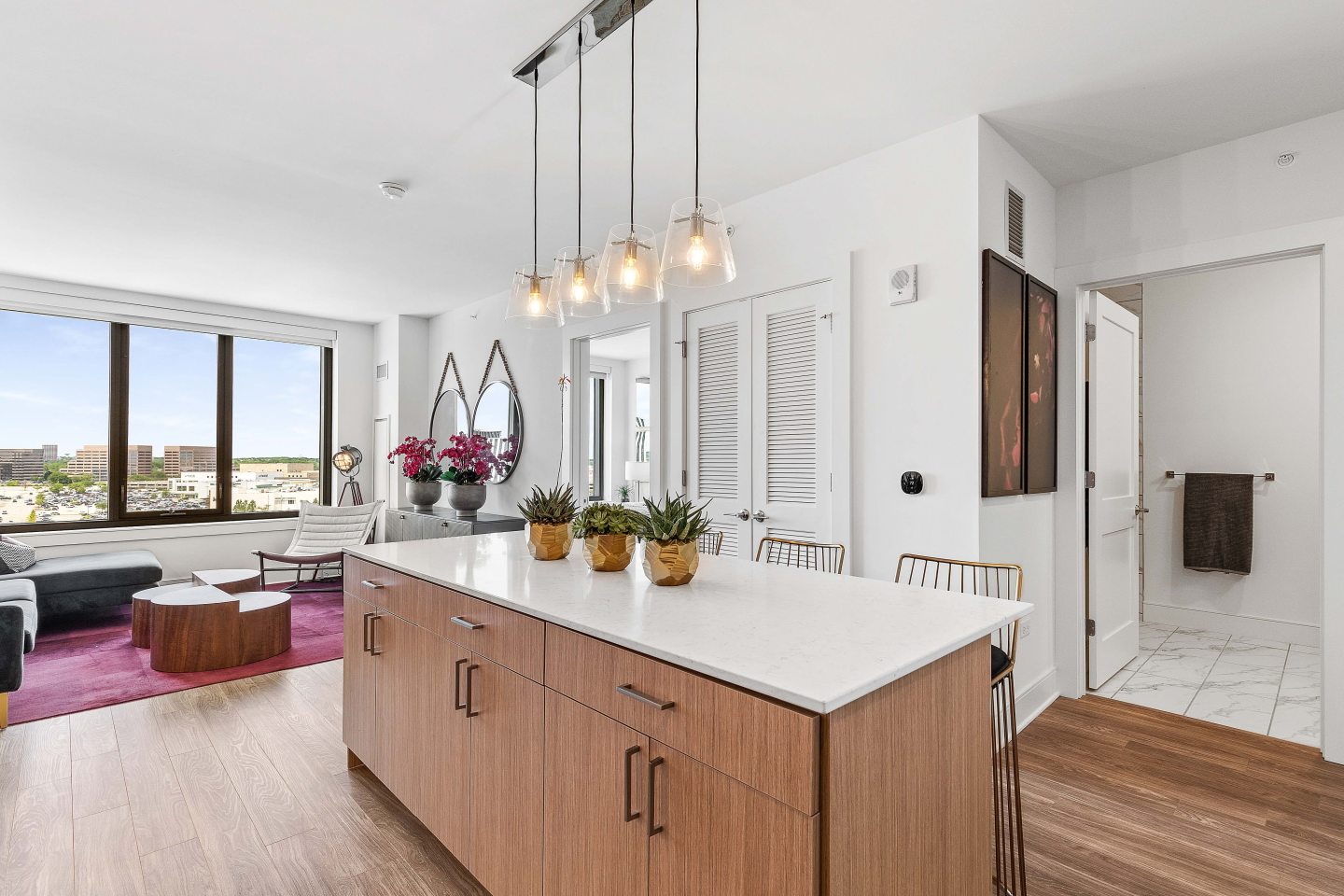 One Oak Brook Commons Image 9