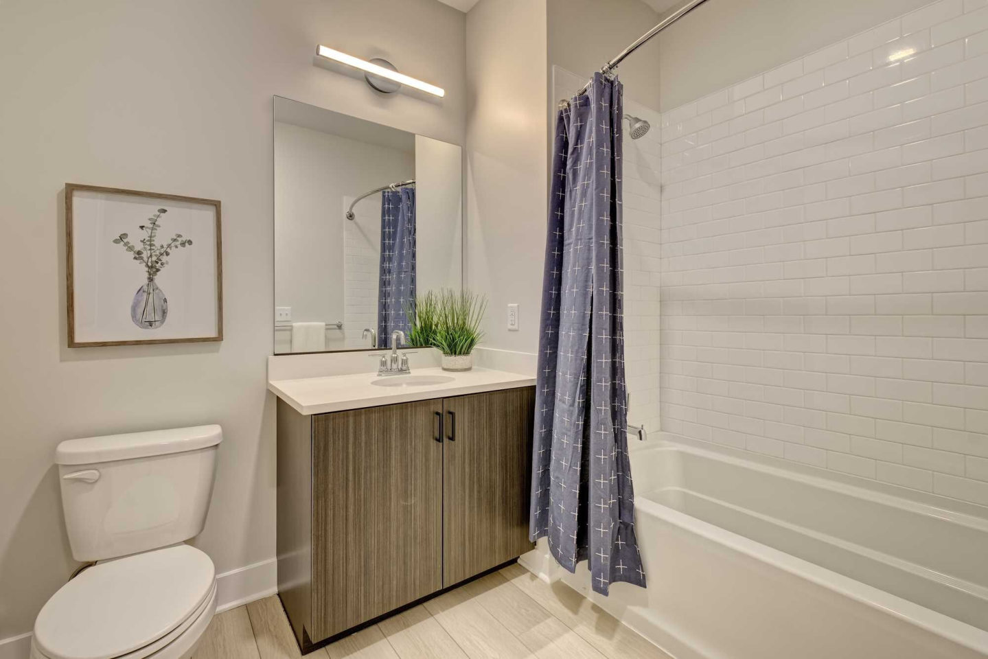 Tellus Bloom Apartment Homes Image 8