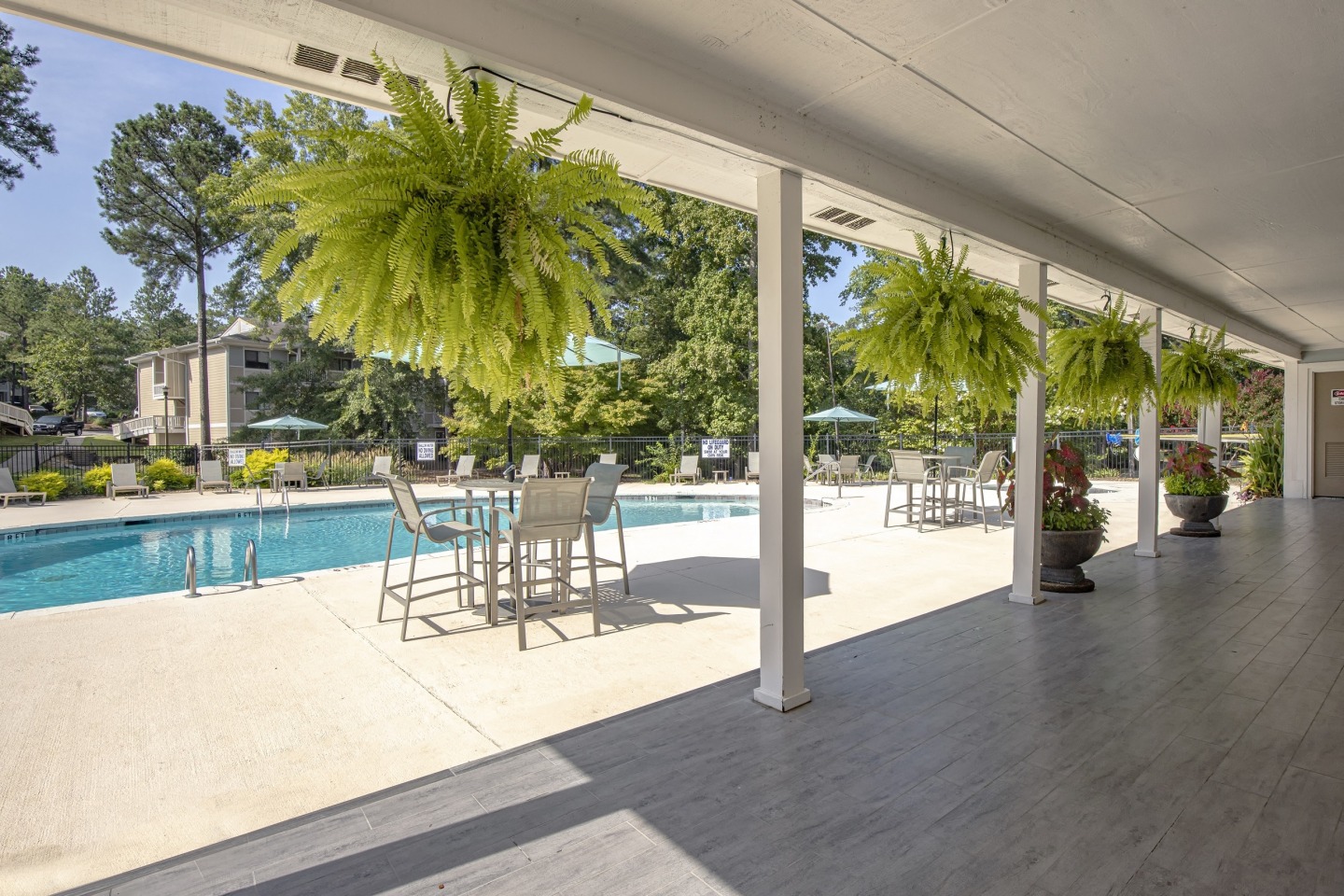 Wellspring Image 19