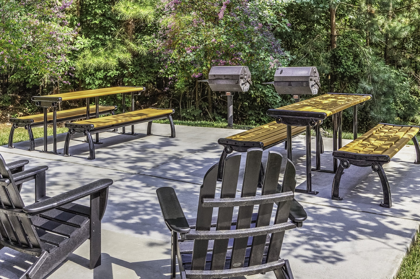 Ashley Park in Brier Creek Image 7