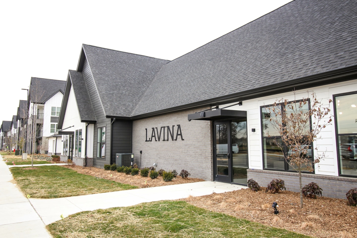 Lavina Image 1