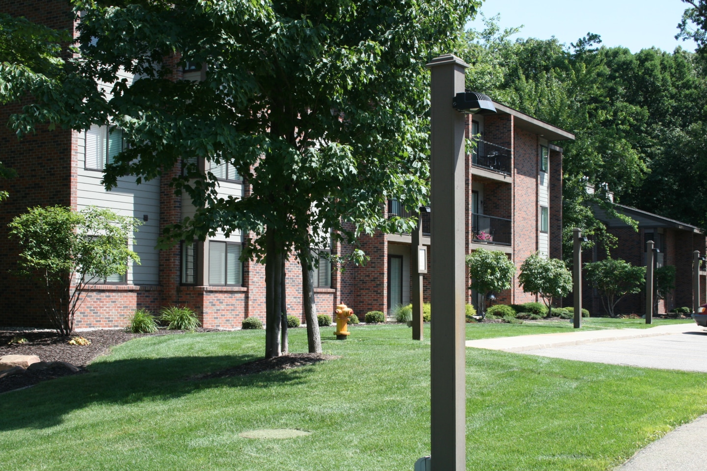 Deer View Image 91