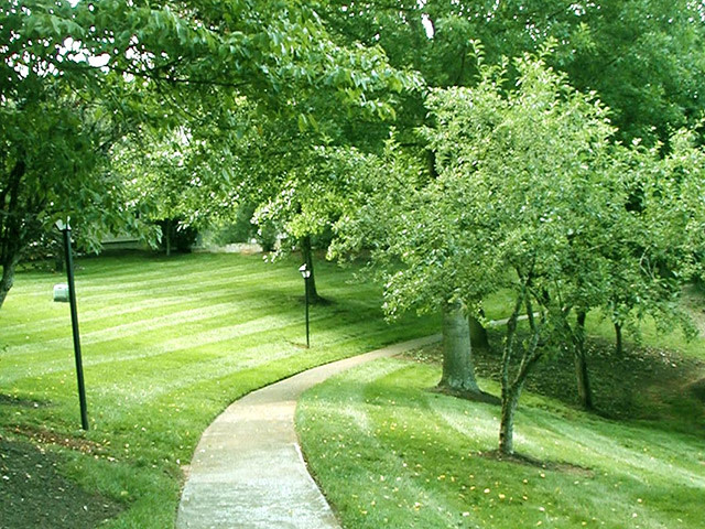 Mountain View Image 18