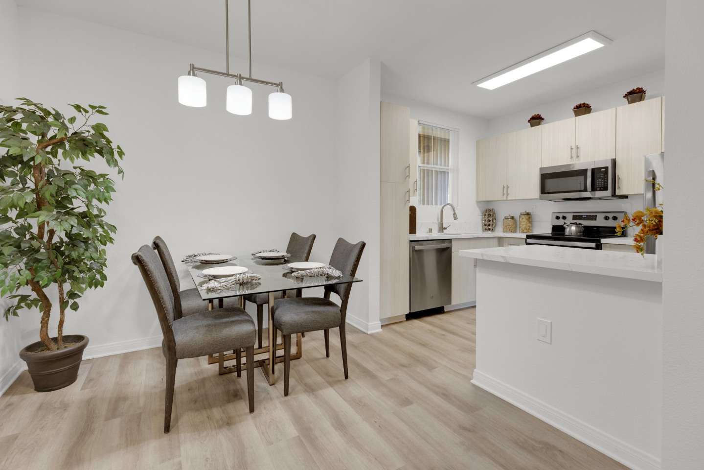 Legacy Apartment Homes Image 8