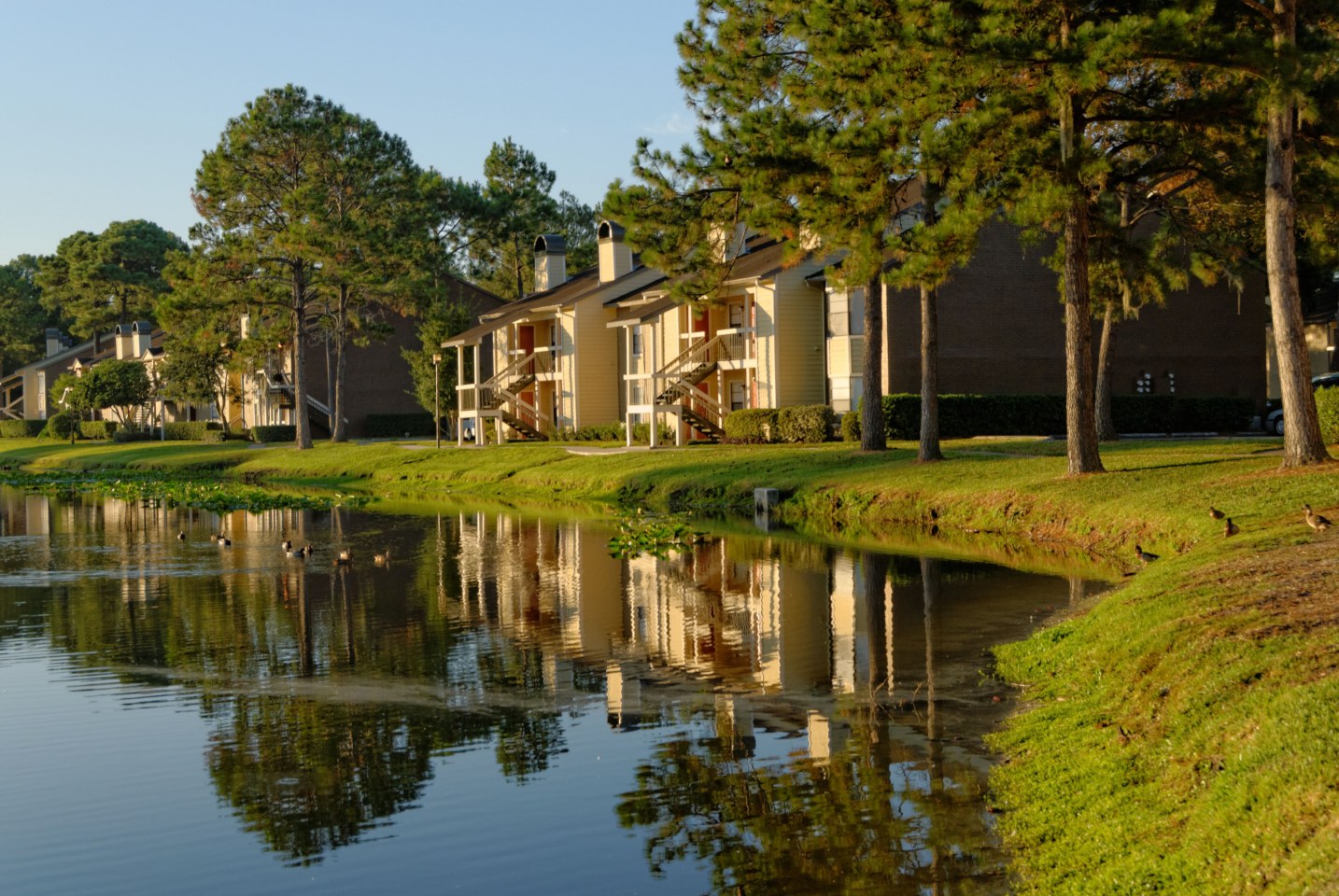 Grove at Deerwood Image 9