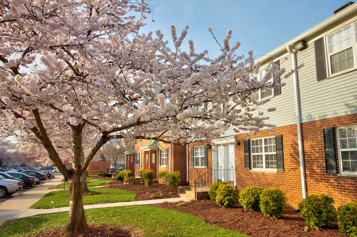 Kingsley Commons Image 2