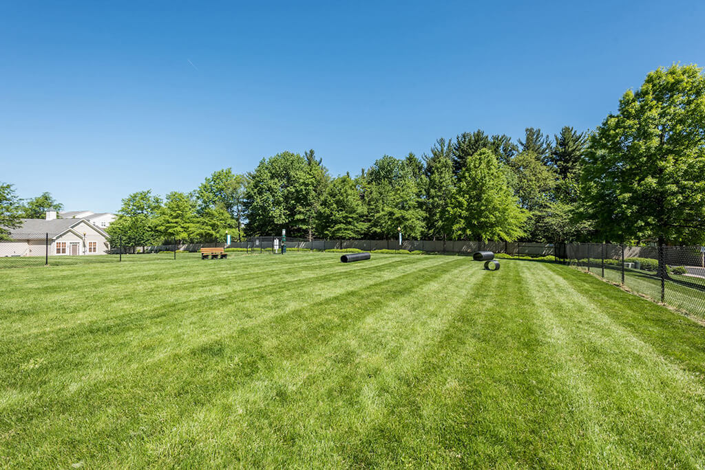 Owings Park Image 26