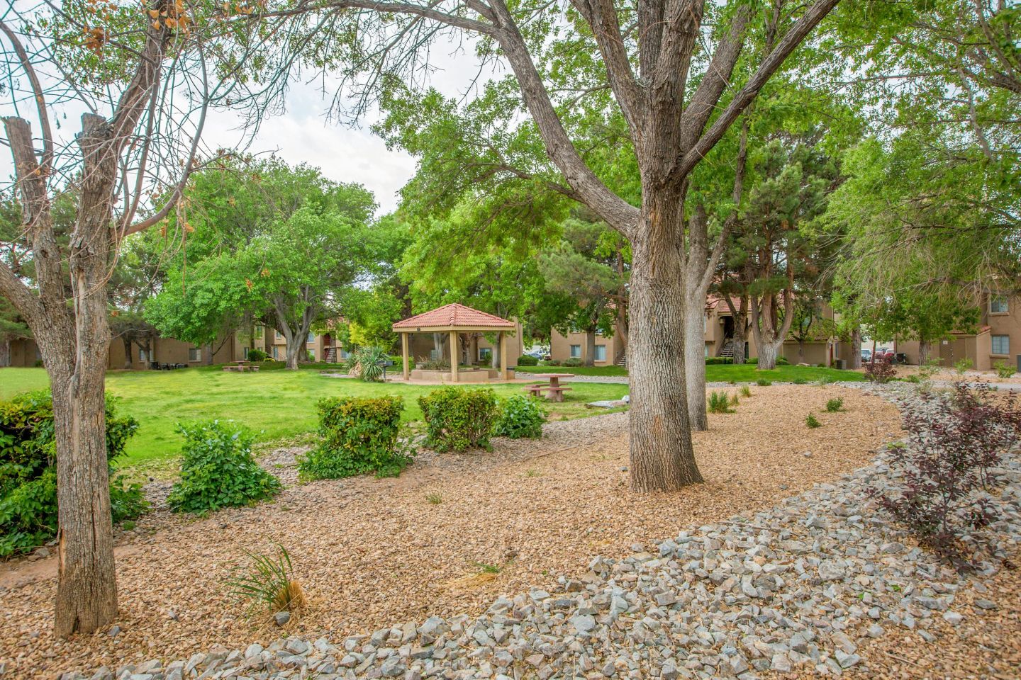 Cinnamon Tree Apartments Image 33