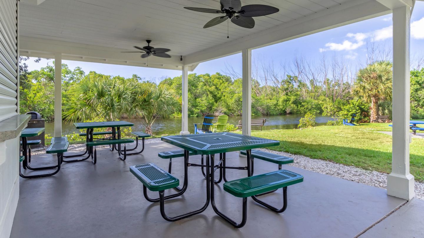 River Reach Image 43