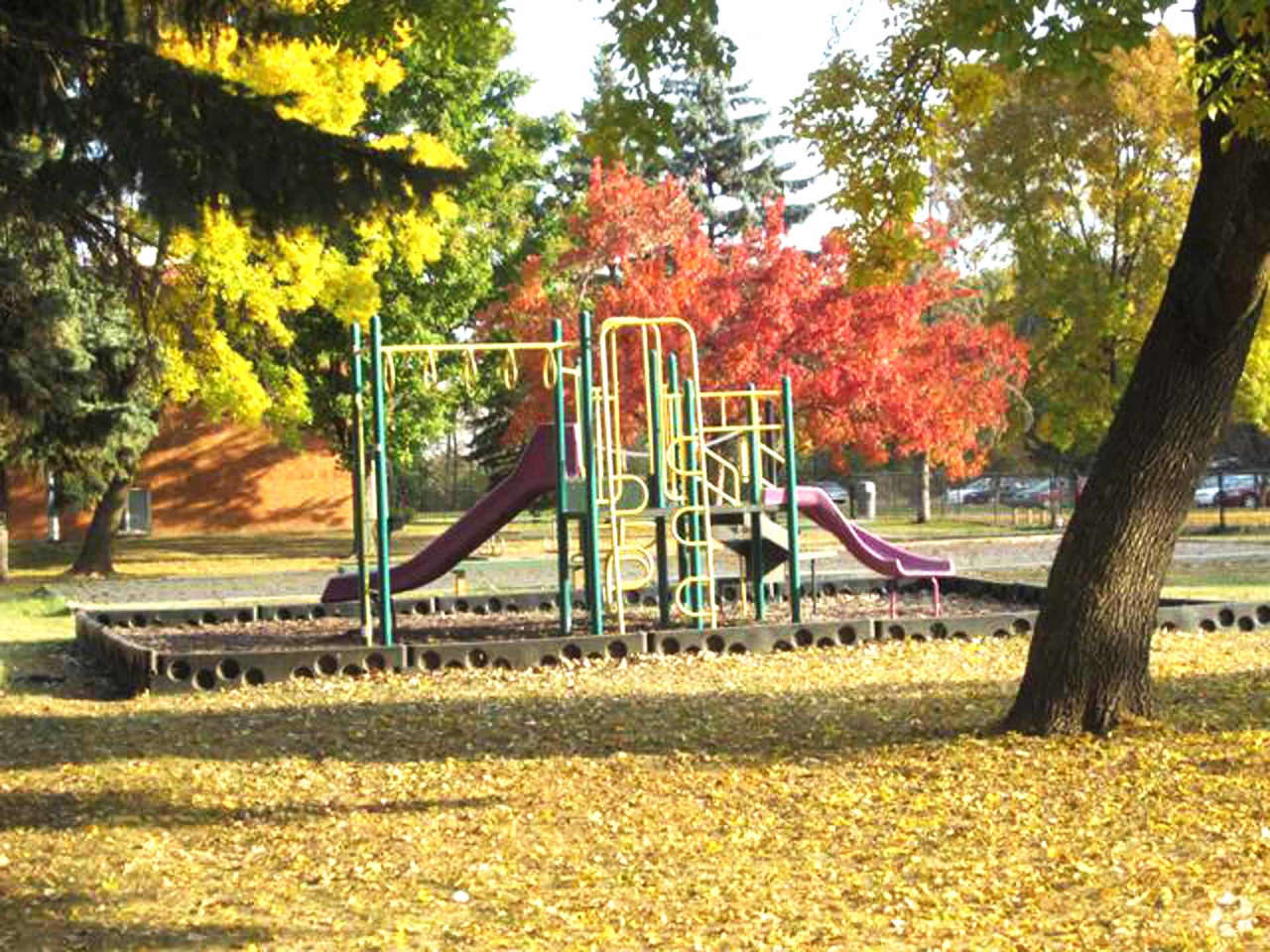Century Oaks Apartments Image 34
