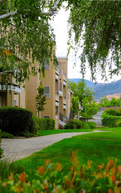 Arcadian Apartments Image 20
