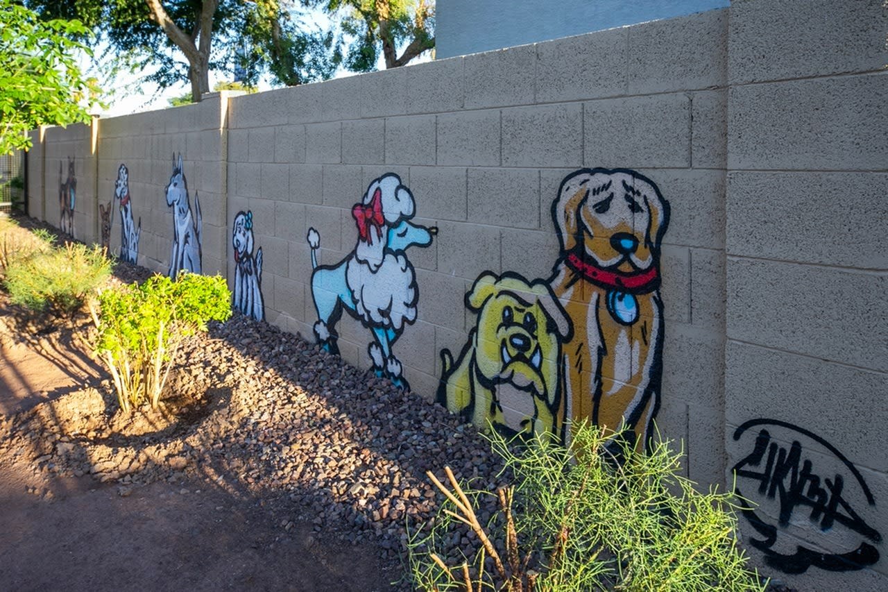 59 Evergreen Image 16