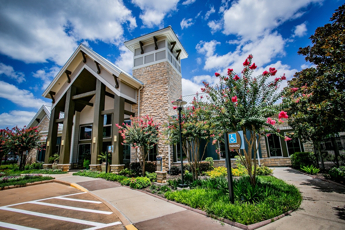 Aliso Briar Forest Image 4