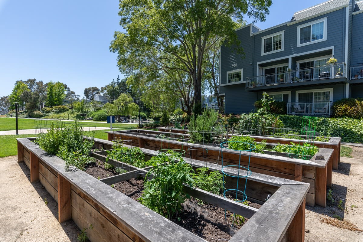 Serenity at Larkspur - Affordable Housing Image 18