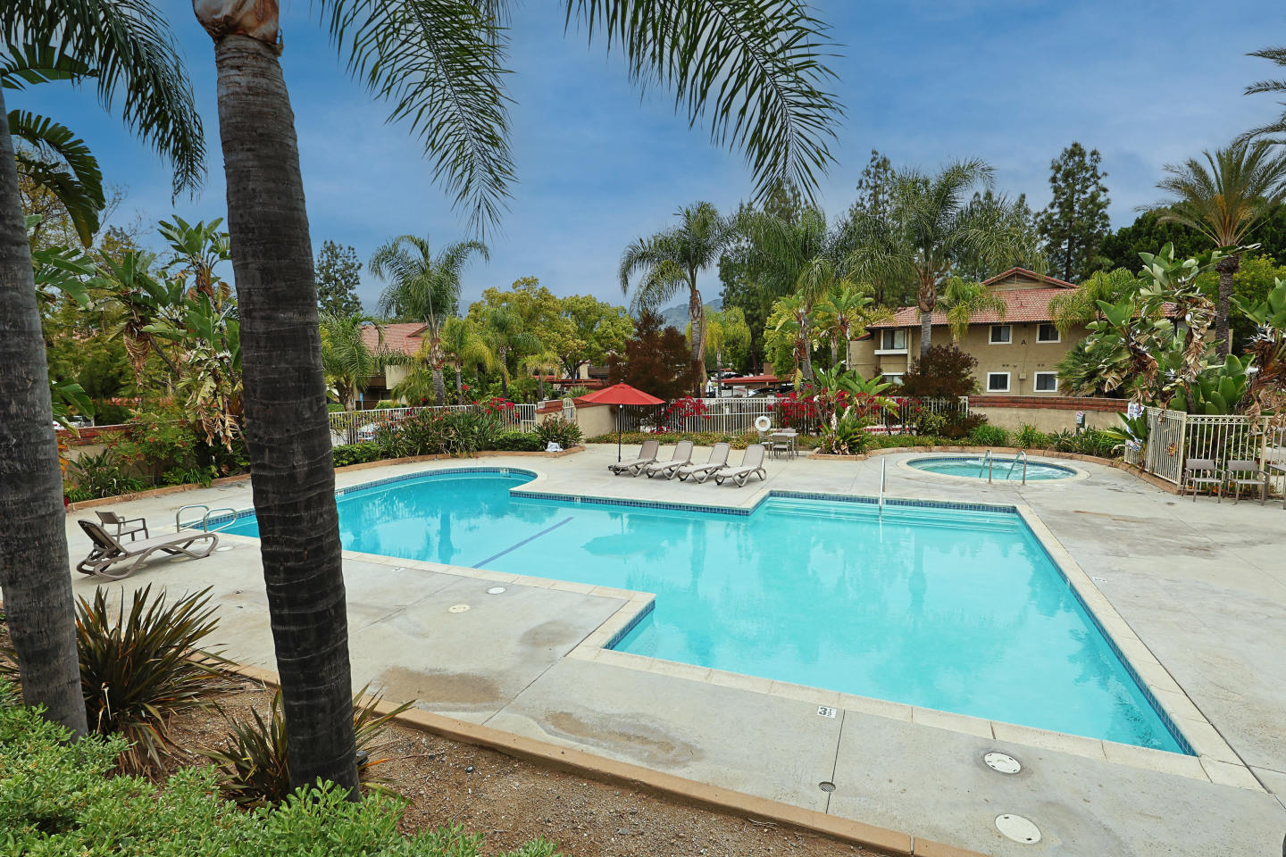 Citrus Place Image 5
