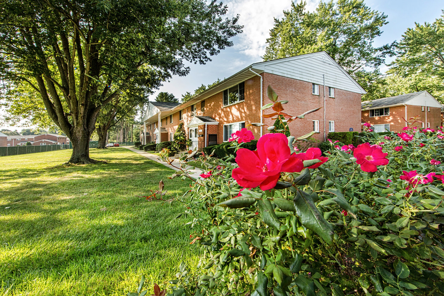Homestead Gardens Apartments Image 4