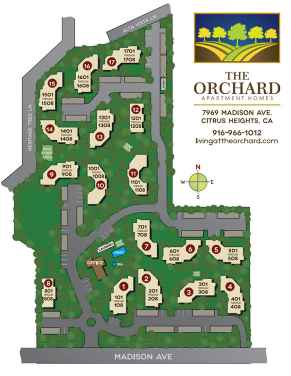 The Orchard Image 4