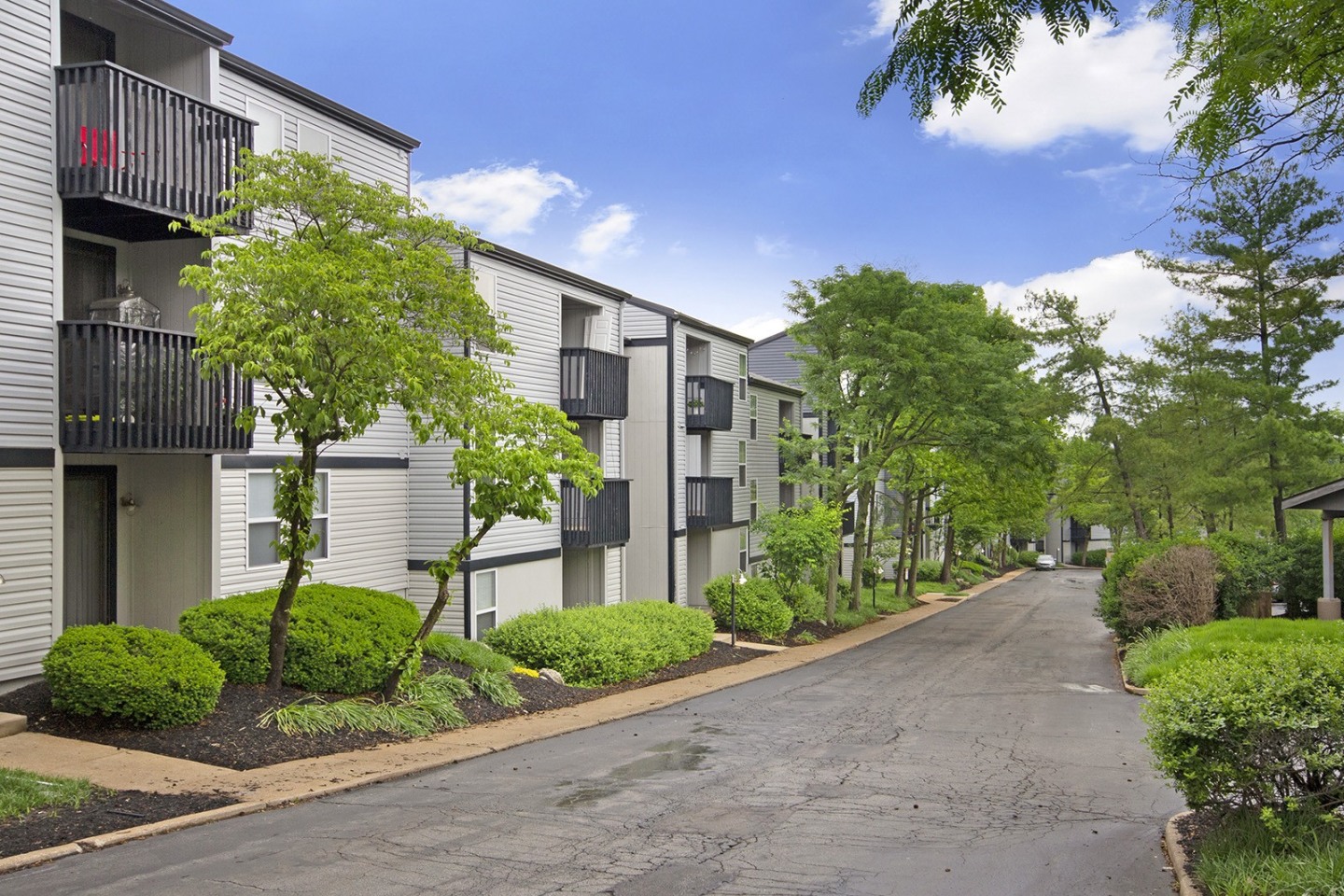 Millennium at Creve Coeur Image 31