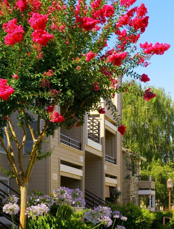 Arcadian Apartments Image 2