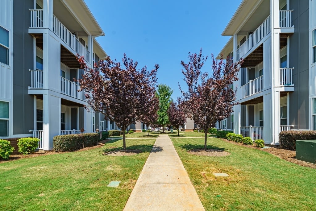 Willows at Fort Mill Image 39