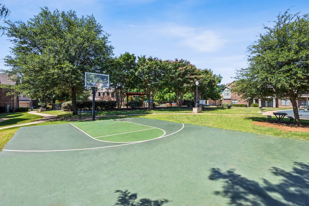 Enclave on Golden Triangle Apartments Image 13