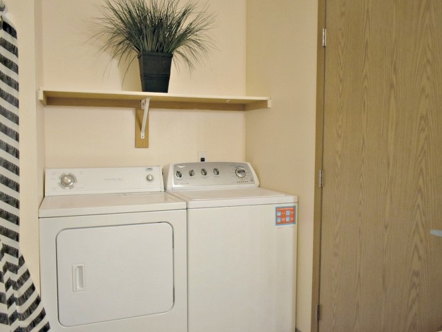 Red Rose Manor Image 13