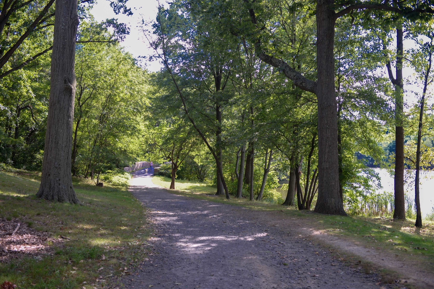 Bell Olmsted Park Image 20