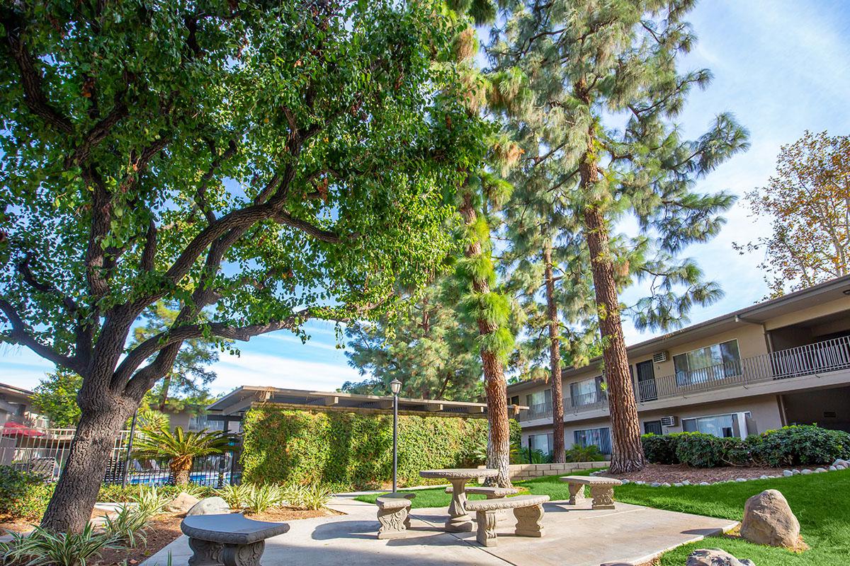 Saddleback Pines Image 18