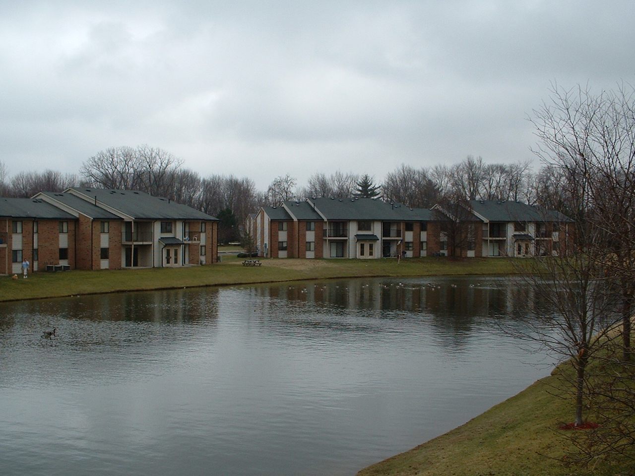 Shady Knoll Image 36