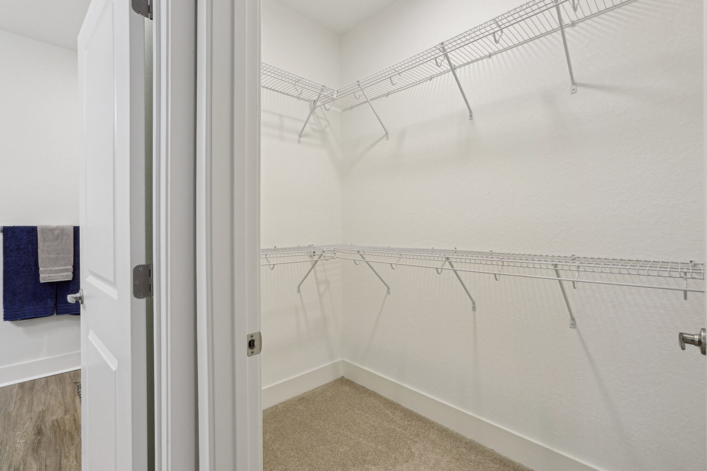 Lamplighter Legacy Image 15