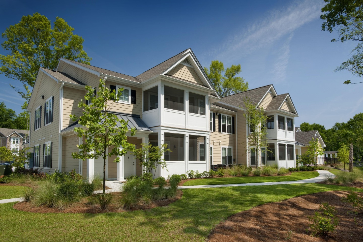 Element Carolina Bay Image 45