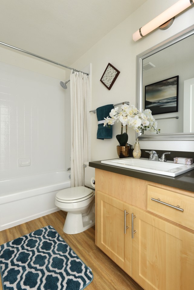 Oceanview Apartments Image 12