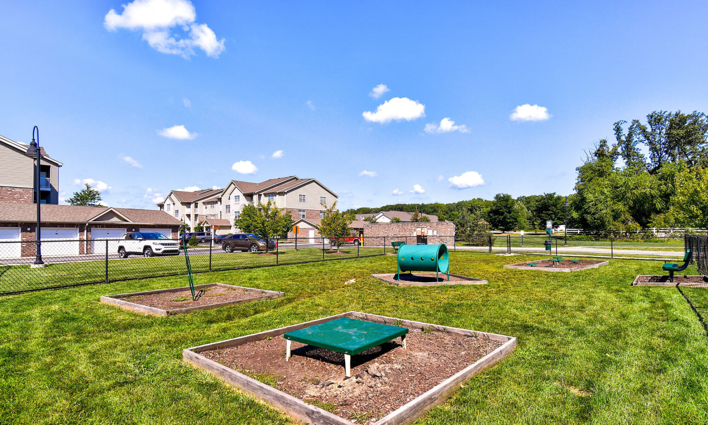 Steeplechase at Parkview Image 32