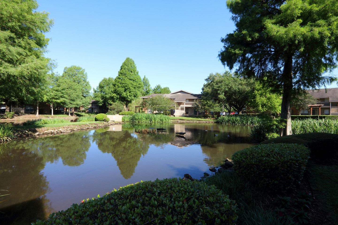 Diamond Lakes Apartment Homes Image 12