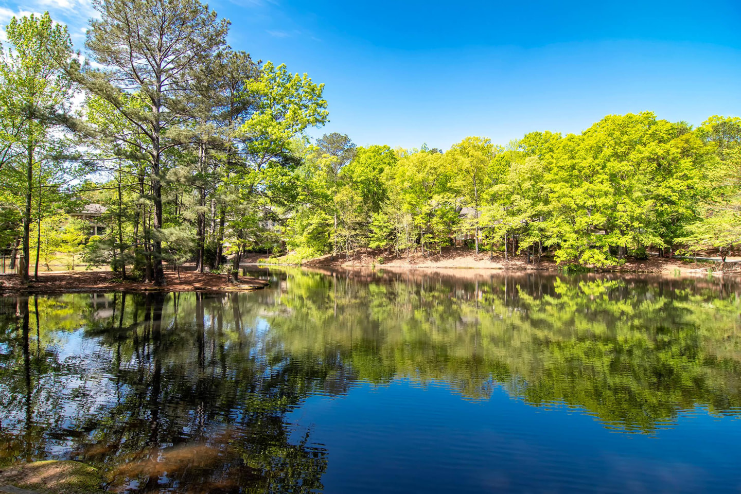 Serene at Woodlake Image 5