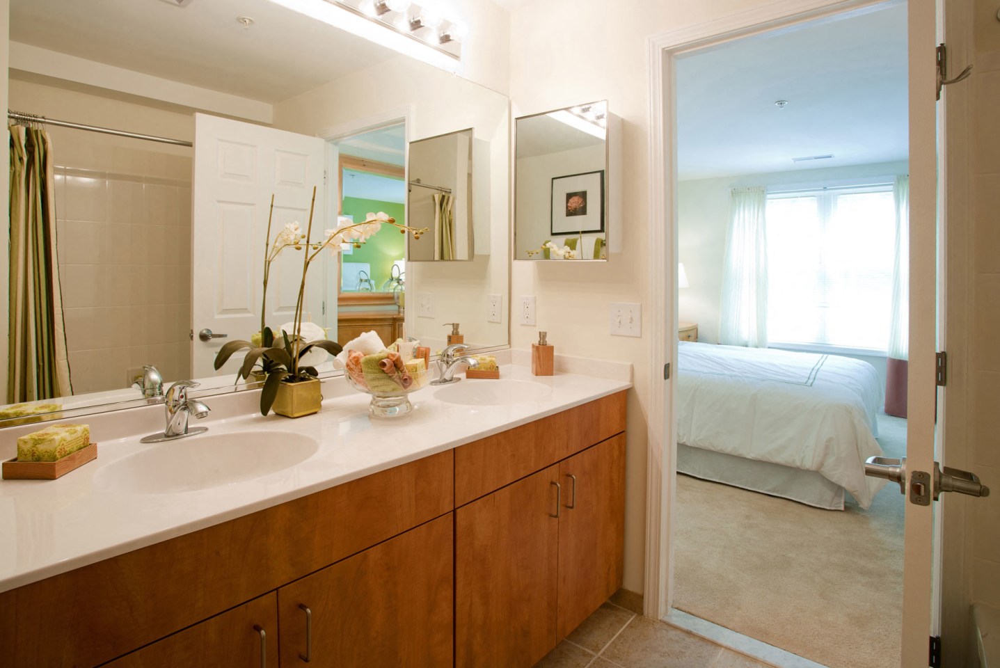 Spa Cove Image 13