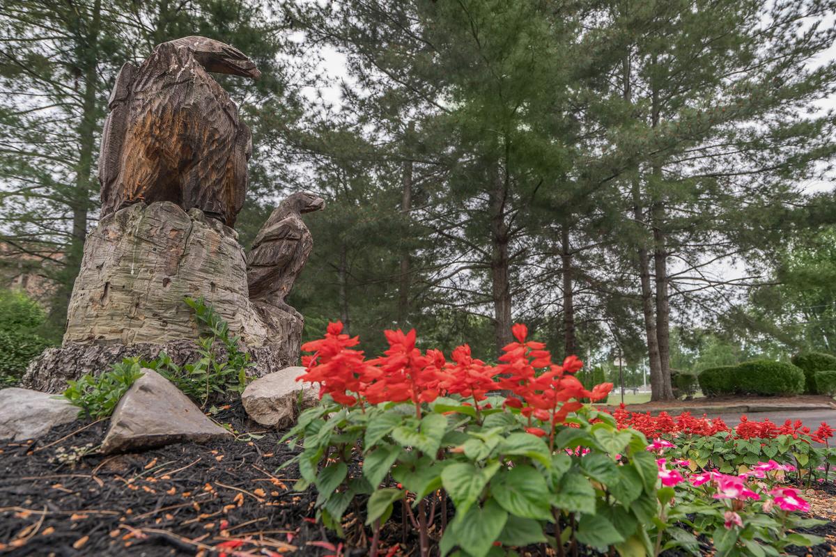 Eagles Crest at Wallace Image 3