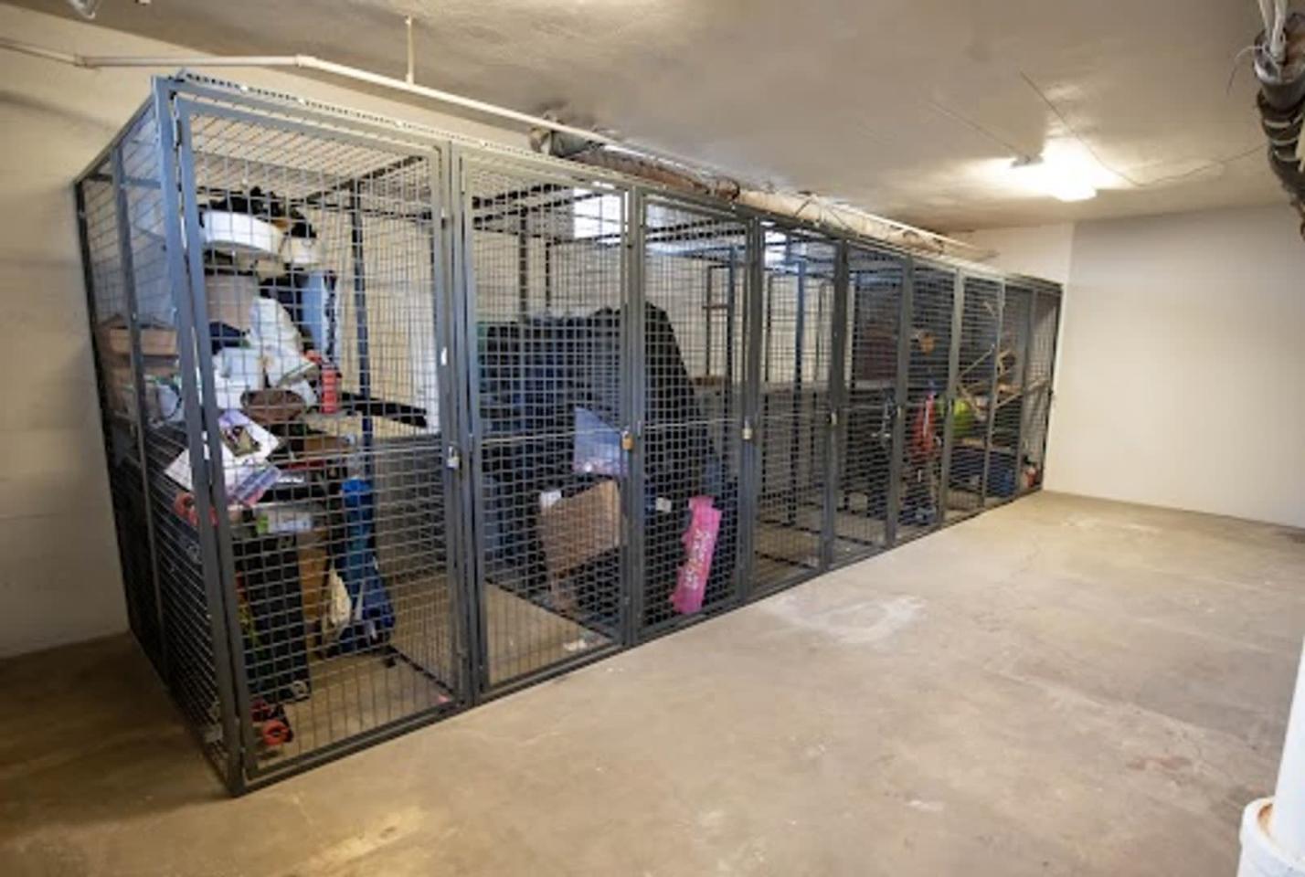 The Capri Apartments Image 13