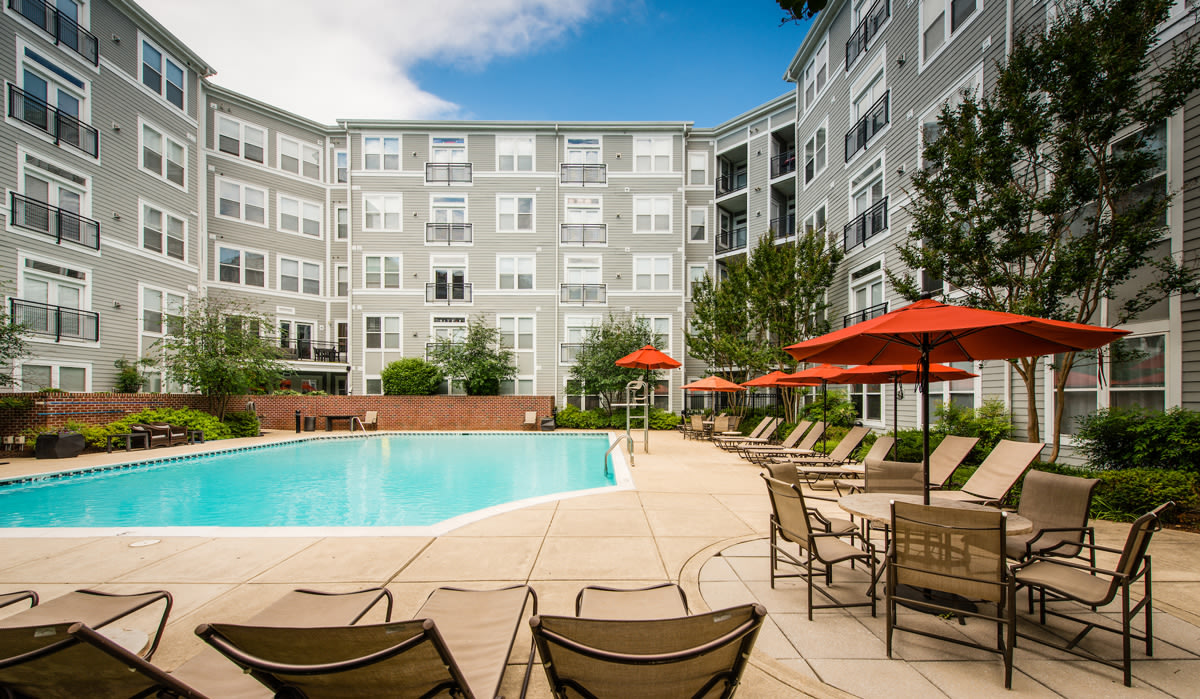 The Flats at Wheaton Station Image 33