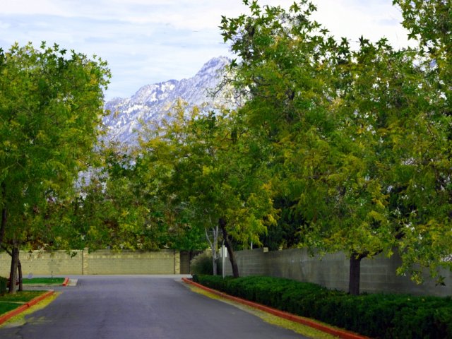 Arcadia Green Image 3
