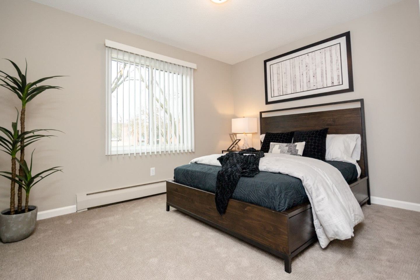 The Birchway Apartments Image 12