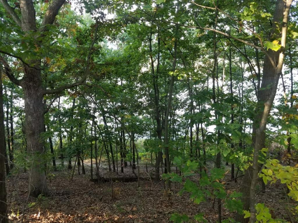 Winchell Way Image 27