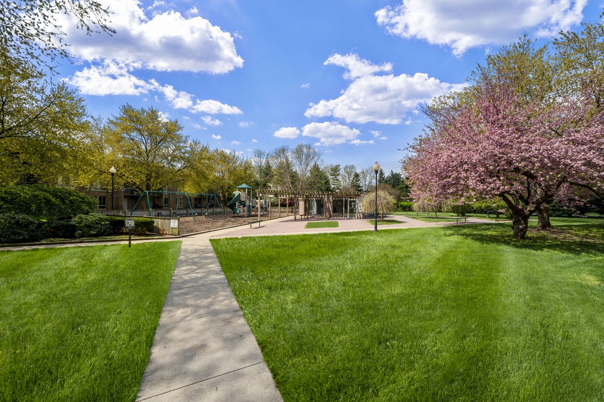 Jefferson Chase Image 15