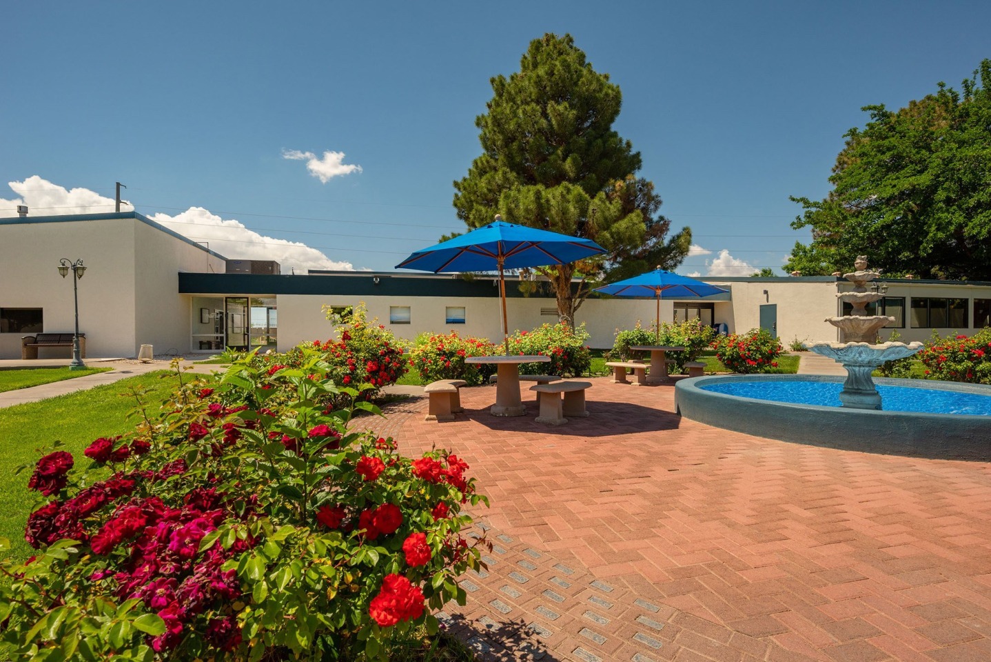 Blue Agave Villas Image 17