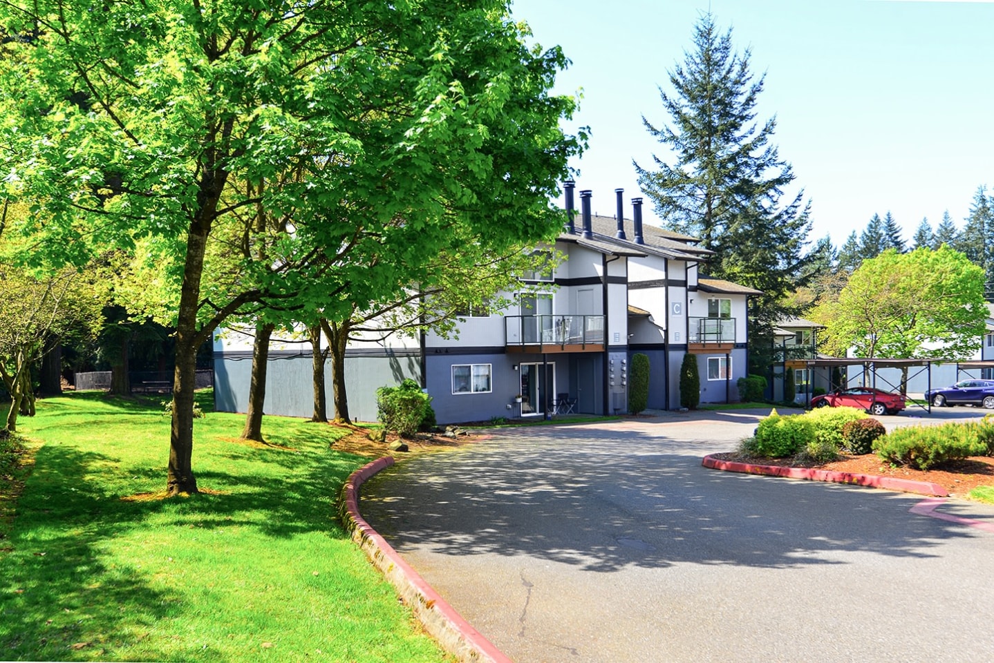 Tessera Apartments Image 31
