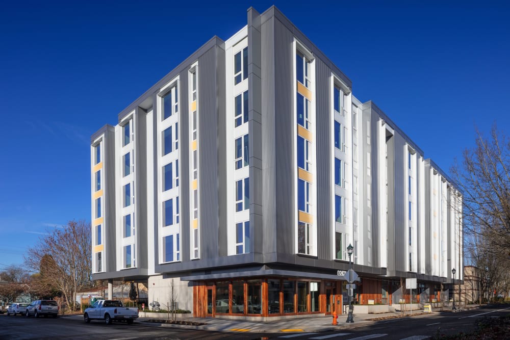FortyOne 11 Apartments Image 45