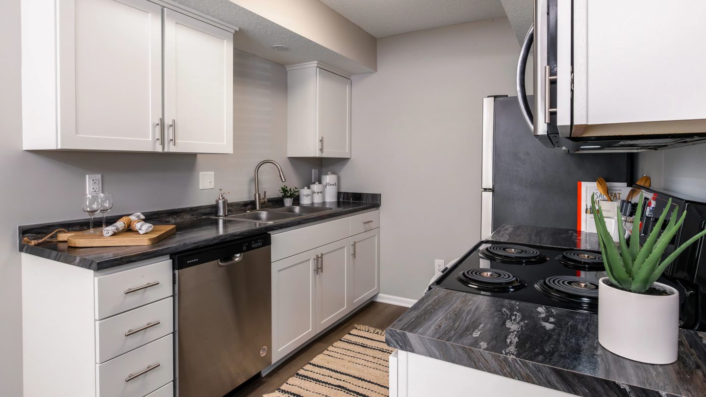 Emory Lakes Luxury Apartments Image 4