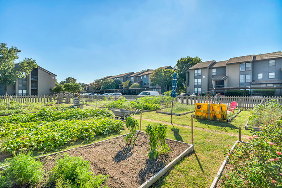 Las Colinas Heights Apartment Homes Image 9