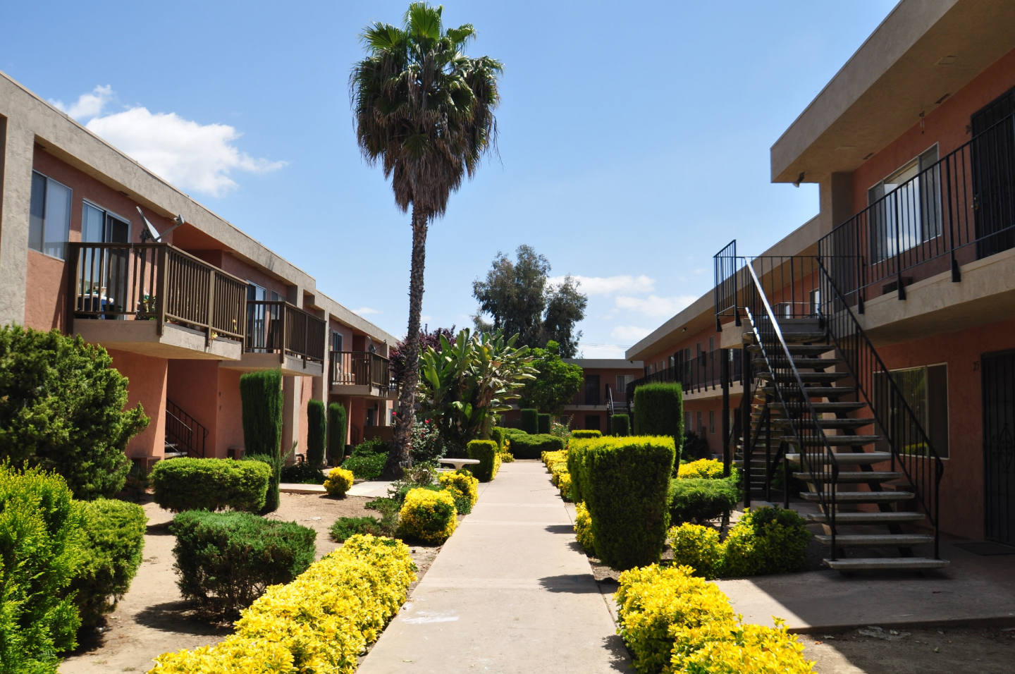 Ashwood Apartments Image 4
